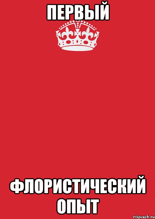 Первый флористический опыт, Комикс Keep Calm 3