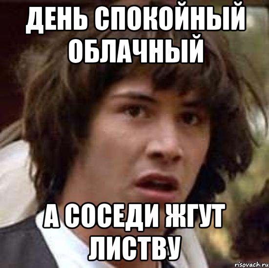 День спокойный облачный а соседи жгут листву, Мем А что если (Киану Ривз)