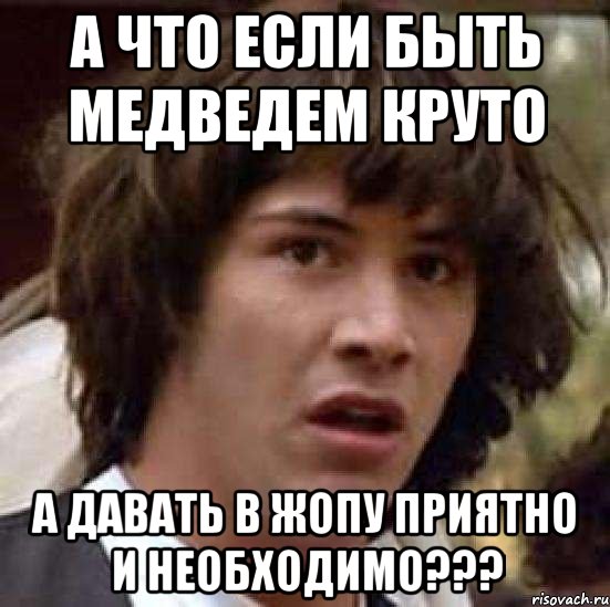 А что если быть Медведем круто а давать в жопу приятно и необходимо???, Мем А что если (Киану Ривз)