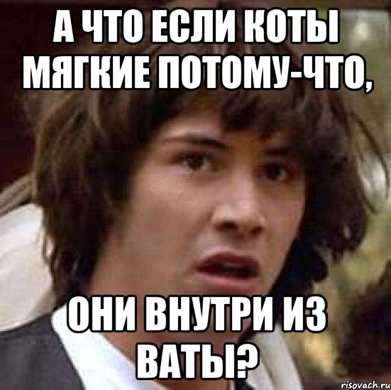 А что если коты мягкие потому-что, Они внутри из ваты?, Мем А что если (Киану Ривз)