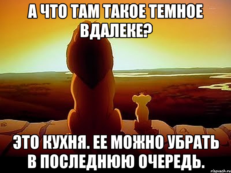 А что там такое темное вдалеке? Это кухня. Ее можно убрать в последнюю очередь., Мем  король лев