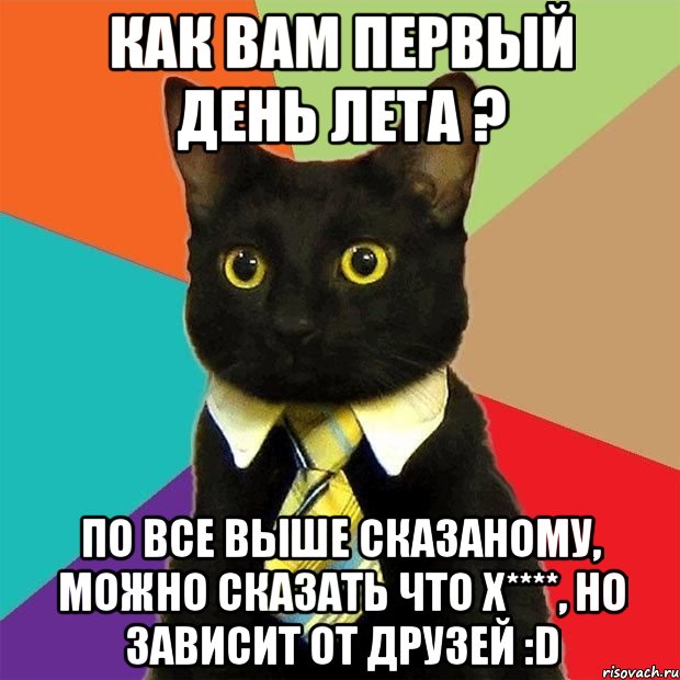 Как вам первый день лета ? По все выше сказаному, можно сказать что х****, но зависит от друзей :D, Мем  Кошечка