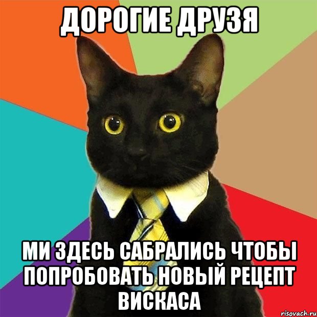 ДОРОГИЕ ДРУЗЯ МИ ЗДЕСЬ САБРАЛИСЬ ЧТОБЫ ПОПРОБОВАТЬ НОВЫЙ РЕЦЕПТ ВИСКАСА, Мем  Кошечка