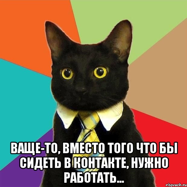  Ваще-то, вместо того что бы сидеть в контакте, нужно работать..., Мем  Кошечка