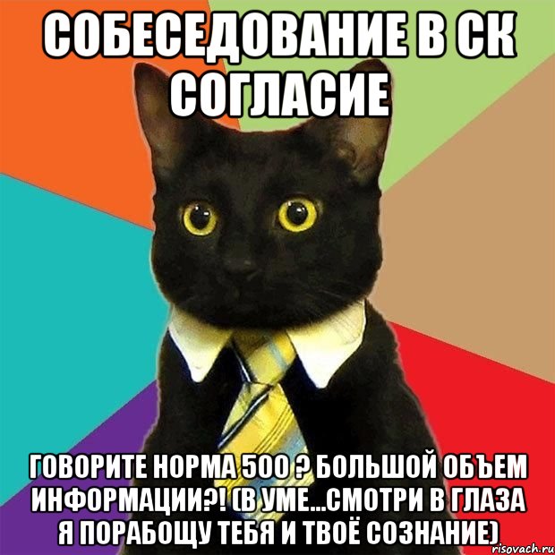 Собеседование в Ск Согласие Говорите норма 500 ? Большой объем информации?! (в уме...смотри в глаза я порабощу тебя и твоё сознание), Мем  Кошечка