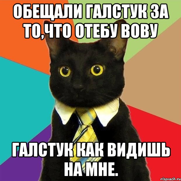 Обещали галстук за то,что отебу Вову Галстук как видишь на мне., Мем  Кошечка