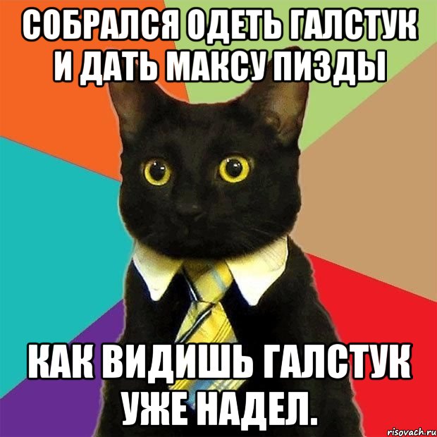 Собрался одеть галстук и дать Максу пизды Как видишь галстук уже надел., Мем  Кошечка