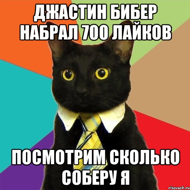 джастин бибер набрал 700 лайков посмотрим сколько соберу я, Мем  Кошечка