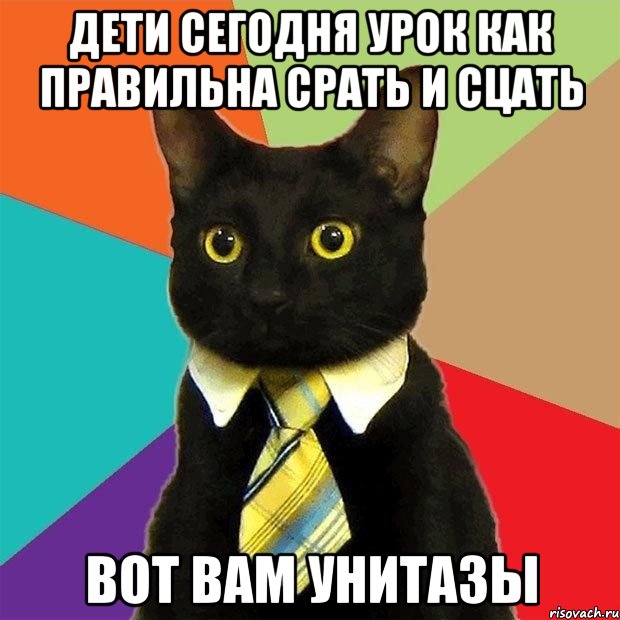 дети сегодня урок как правильна срать и сцать вот вам унитазы, Мем  Кошечка