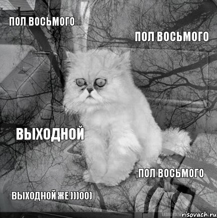 пол восьмого пол восьмого выходной же )))00) пол восьмого выходной, Комикс  кот безысходность