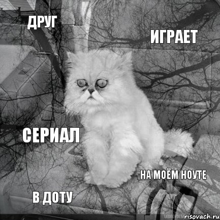 друг играет в доту на моём ноуте сериал, Комикс  кот безысходность