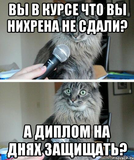 вы в курсе что вы нихрена не сдали? А диплом на днях защищать?, Комикс  кот с микрофоном