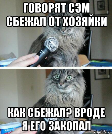 Говорят Сэм сбежал от хозяйки Как сбежал? Вроде я его закопал, Комикс  кот с микрофоном