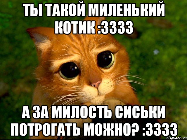 Ты такой миленький котик :3333 А за милость сиськи потрогать можно? :3333