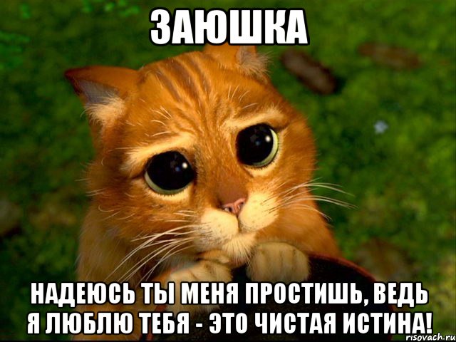 заюшка Надеюсь ты меня простишь, Ведь я люблю тебя - это чистая истина!, Мем кот из шрека