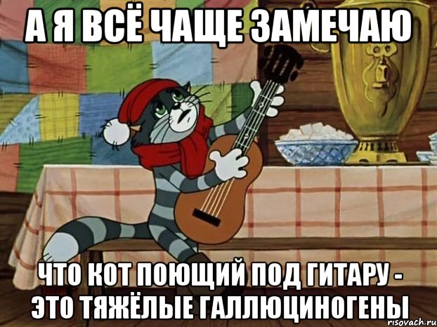 а я всё чаще замечаю что кот поющий под гитару - это тяжёлые галлюциногены, Мем Кот Матроскин с гитарой