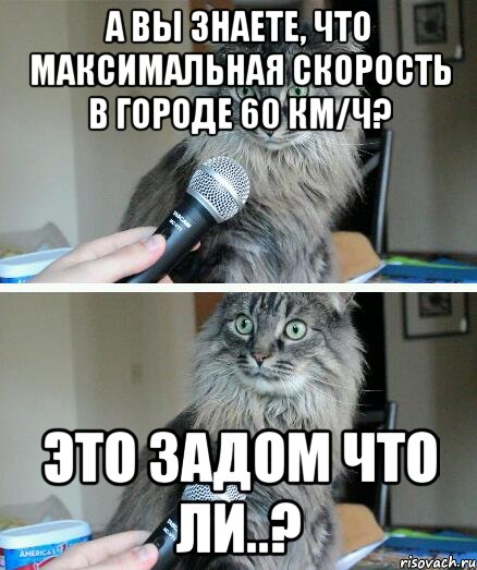 А Вы знаете, что максимальная скорость в городе 60 км/ч? Это задом что ли..?, Комикс  кот с микрофоном