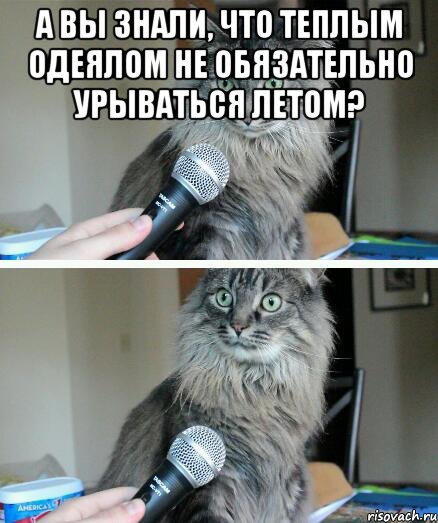 А вы знали, что теплым одеялом не обязательно урываться летом? , Комикс  кот с микрофоном