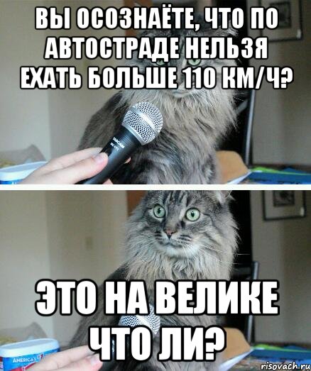 Вы осознаёте, что по автостраде нельзя ехать больше 110 км/ч? Это на велике что ли?, Комикс  кот с микрофоном