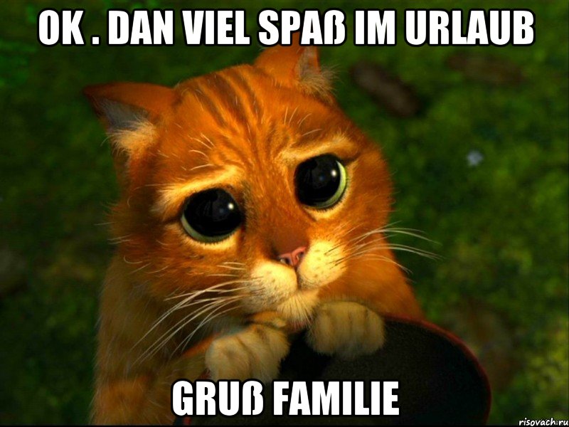 OK . DAN VIEL SPAß IM URLAUB Gruß FAMILIE, Мем кот из шрека