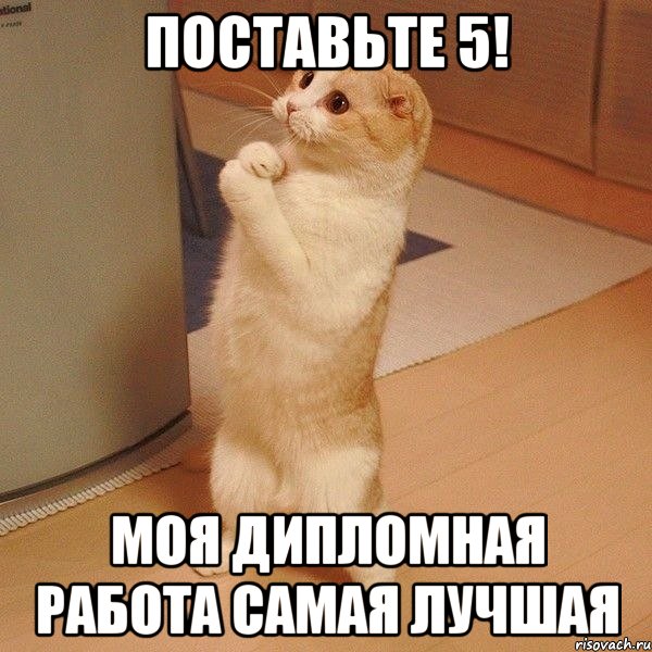 Поставьте 5! Моя дипломная работа самая лучшая, Мем  котэ молится