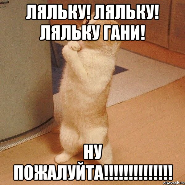 Ляльку! Ляльку! Ляльку гани! Ну пожалуйта!!!!!!!!!!!!!!, Мем  котэ молится