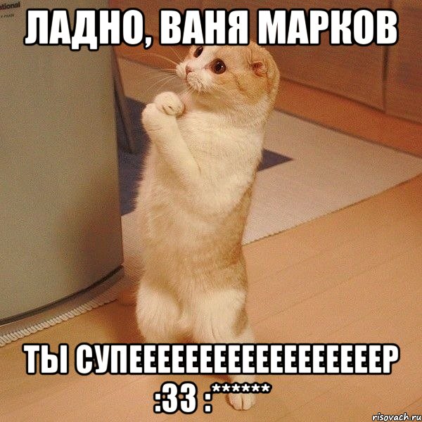 Ладно, Ваня Марков Ты супеееееееееееееееееер :33 :******, Мем  котэ молится