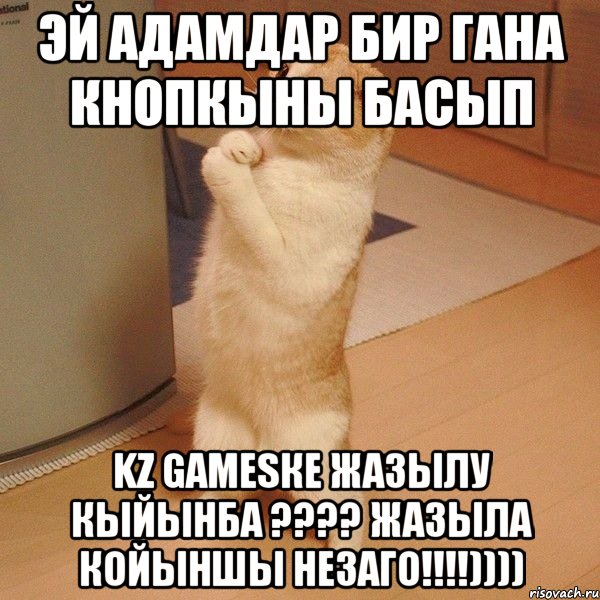 ЭЙ АДАМДАР БИР ГАНА КНОПКЫНЫ БАСЫП KZ GAMESке ЖАЗЫЛУ КЫЙЫНБА ???? ЖАЗЫЛА КОЙЫНШЫ НЕЗАГО!!!!)))), Мем  котэ молится