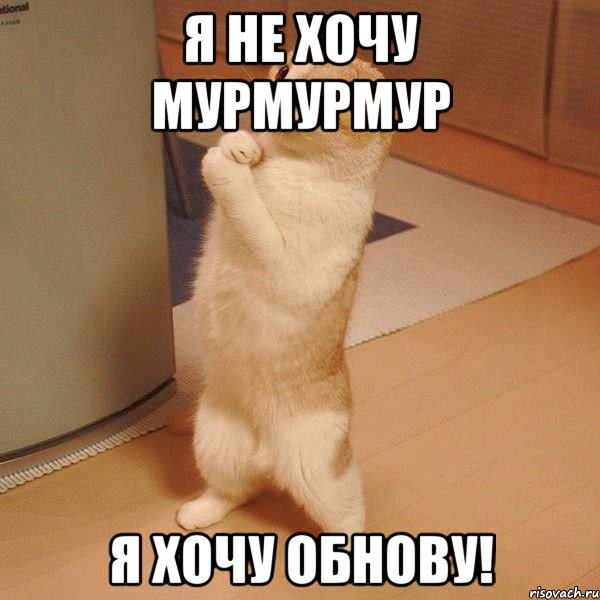 я не хочу мурмурмур я хочу ОБНОВУ!, Мем  котэ молится