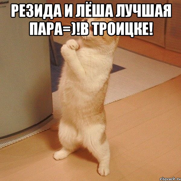 РЕЗИДА И ЛЁША ЛУЧШАЯ ПАРА=)!В ТРОИЦКЕ! , Мем  котэ молится