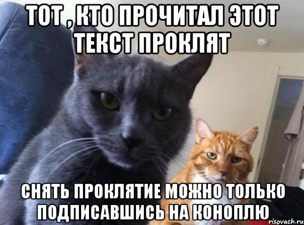 Тот , кто прочитал этот текст проклят Снять проклятие можно только подписавшись на Коноплю, Мем  Два котэ