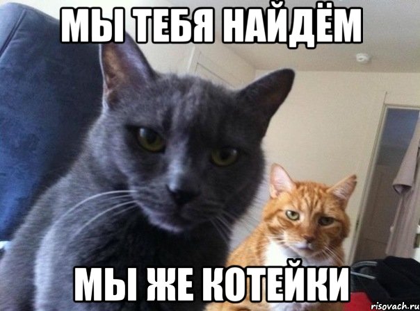 МЫ ТЕБЯ НАЙДЁМ МЫ ЖЕ КОТЕЙКИ, Мем  Два котэ