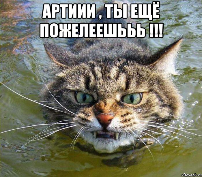 Артиии , ты ещё пожелеешььь !!! , Мем котэ