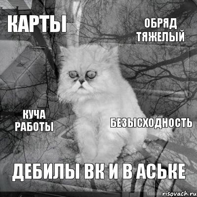 карты обряд тяжелый куча работы дебилы вк и в аське безысходность, Комикс  кот безысходность