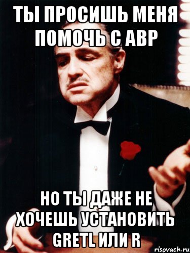 ты просишь меня помочь с авр но ты даже не хочешь установить gretl или R, Мем ты делаешь это без уважения