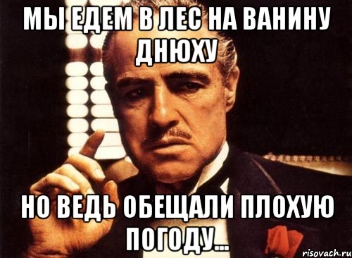 мы едем в лес на Ванину днюху но ведь обещали плохую погоду..., Мем крестный отец