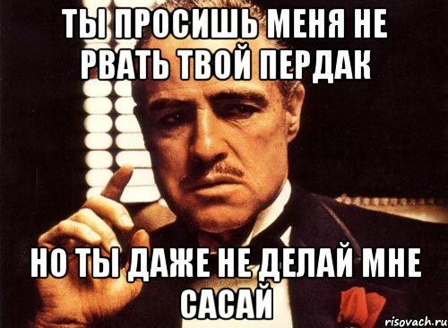 ТЫ ПРОСИШЬ МЕНЯ НЕ РВАТЬ ТВОЙ ПЕРДАК НО ТЫ ДАЖЕ НЕ ДЕЛАЙ МНЕ САСАЙ, Мем крестный отец