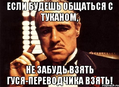 ЕСЛИ БУДЕШЬ ОБЩАТЬСЯ С ТУКАНОМ, НЕ ЗАБУДЬ ВЗЯТЬ ГУСЯ-ПЕРЕВОДЧИКА ВЗЯТЬ!, Мем крестный отец