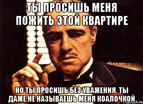 ты просишь меня пожить этой квартире но ты просишь без уважения. ты даже не называешь меня коалочкой, Мем крестный отец