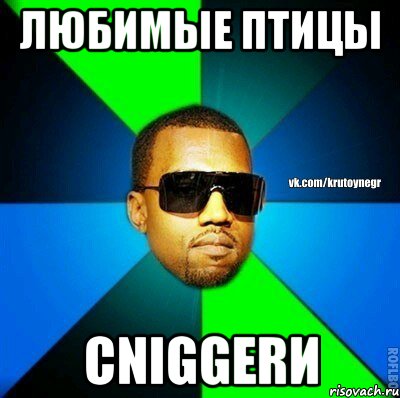 ЛЮБИМЫЕ ПТИЦЫ СNIGGERИ