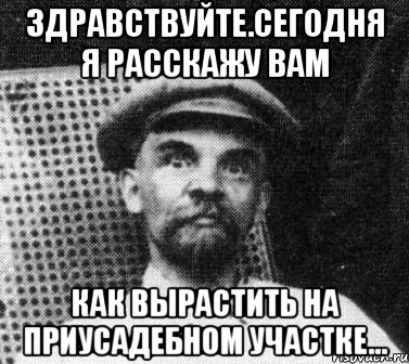 здравствуйте.сегодня я расскажу вам как вырастить на приусадебном участке..., Мем   Ленин удивлен