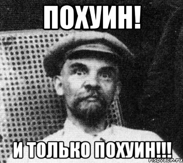 Похуин! И только похуин!!!, Мем   Ленин удивлен