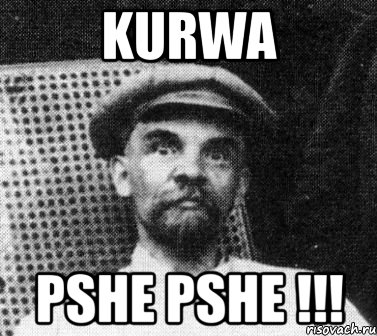 KURWA PSHE PSHE !!!, Мем   Ленин удивлен