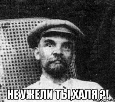  Не ужели ты,Халя ?!, Мем   Ленин удивлен