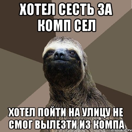 ХОТЕЛ СЕСТЬ ЗА КОМП СЕЛ ХОТЕЛ ПОЙТИ НА УЛИЦУ НЕ СМОГ ВЫЛЕЗТИ ИЗ КОМПА, Мем Ленивец2