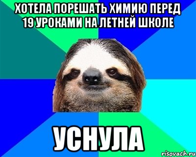 Хотела порешать химию перед 19 уроками на летней школе Уснула, Мем Ленивец