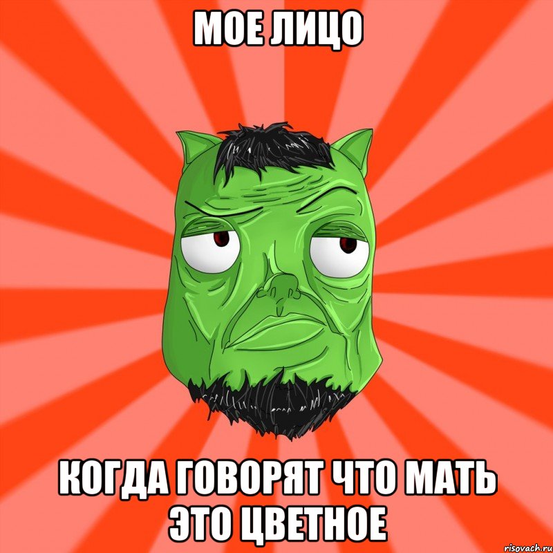 Мое лицо Когда говорят что мать это цветное