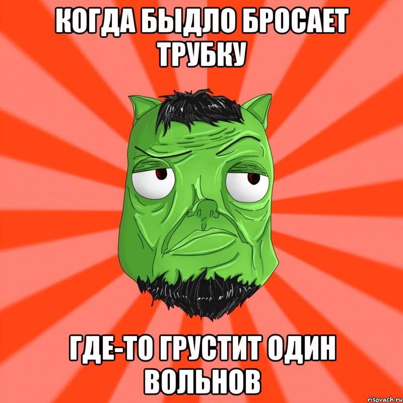 Когда быдло бросает трубку Где-то грустит один Вольнов, Мем Лицо Вольнова когда ему говорят