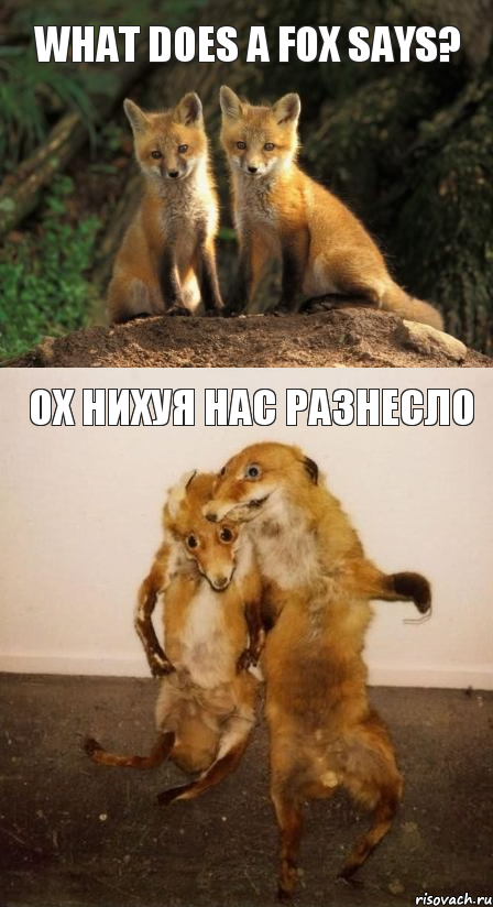 What does a fox says? Ох нихуя нас разнесло, Комикс Лисицы