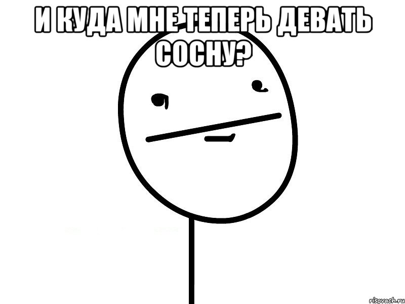 И куда мне теперь девать сосну? , Мем Покерфэйс